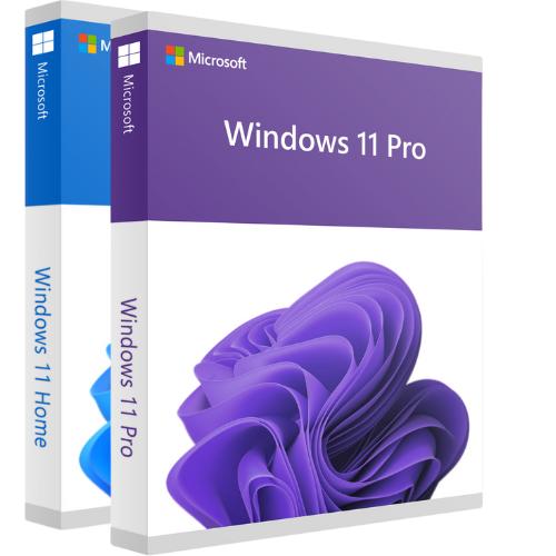 Windows 11